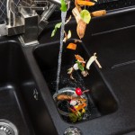 Garbage Disposal