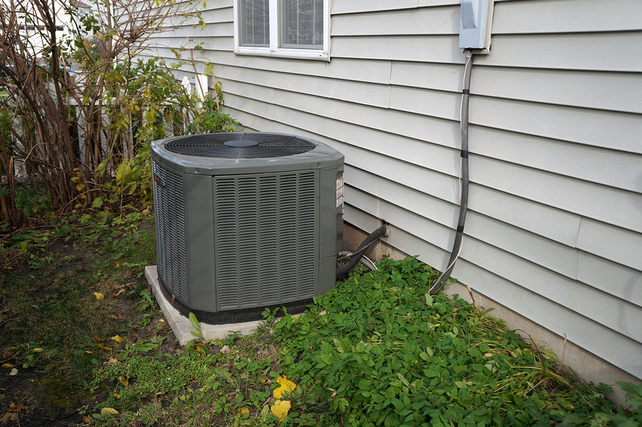 landscape around air conditioner unit