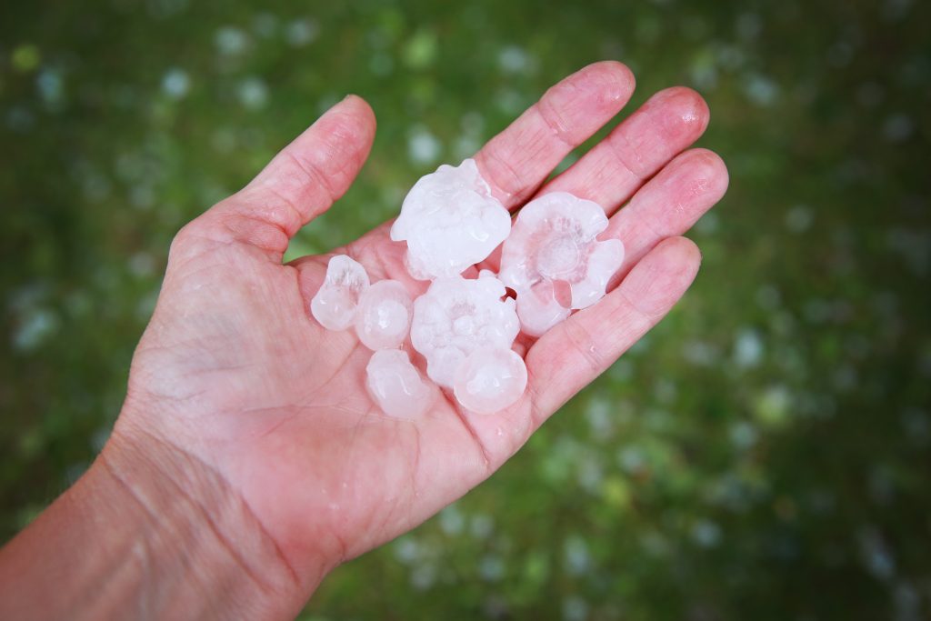 Hail in hands after hailstorm