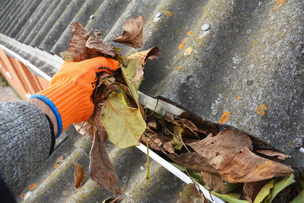 Leaves in a gutter