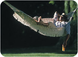 A man resting in a hammock