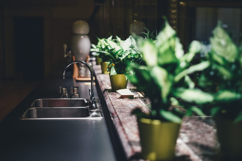 Plants by a kitchen sink