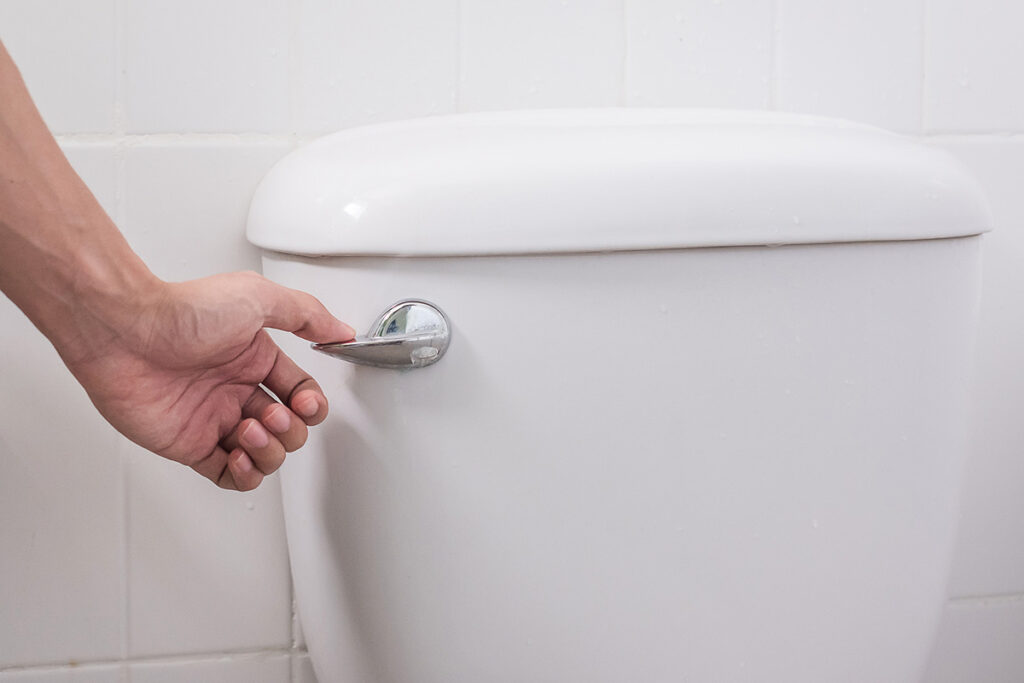 A hand ready to push the handle on a toilet